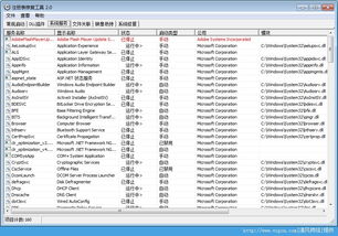 绿色护航系统 专业级注册表修复工具的全面解析与使用指南