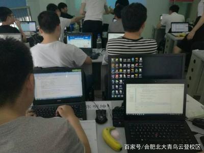 汽车维修与计算机软件开发 哪个职业前景更广阔？